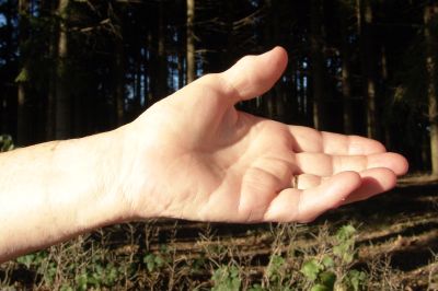 Hand